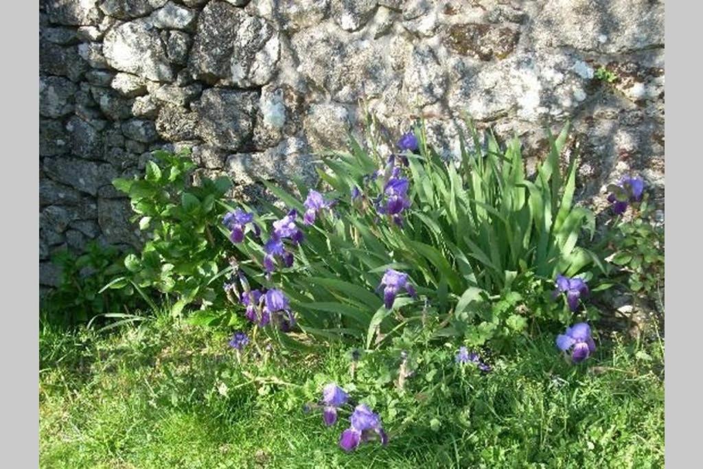 Casa Da Labaceira Βίλα Santo Tomé Εξωτερικό φωτογραφία