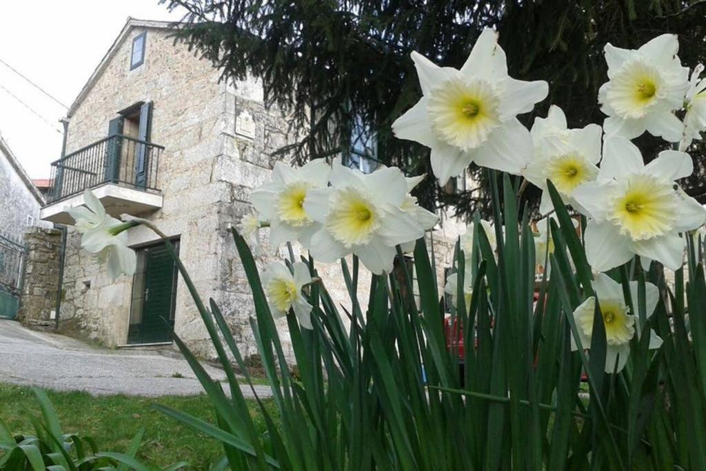 Casa Da Labaceira Βίλα Santo Tomé Εξωτερικό φωτογραφία