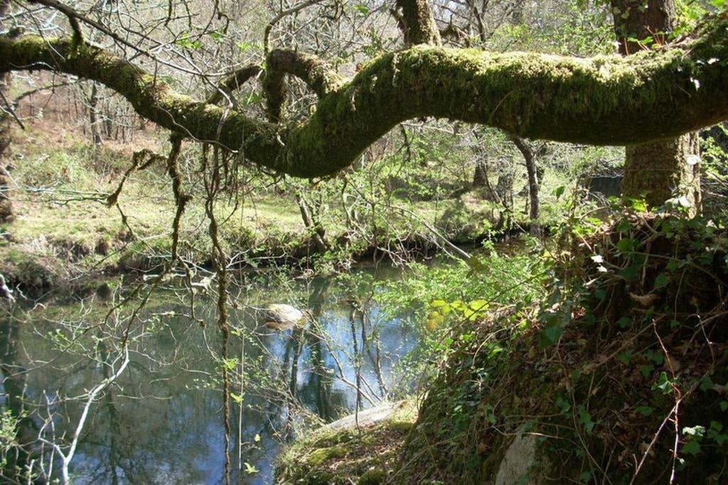 Casa Da Labaceira Βίλα Santo Tomé Εξωτερικό φωτογραφία